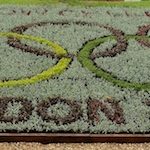Sustainability Advances at the Olympic Games Sustainability Advances at the Olympic Games