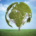 3 Wellbeing Leaders Who Rock Earth Day All Year Long 3 Wellbeing Leaders Who Rock Earth Day All Year Long
