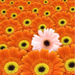 10 Quotes For Leaders Who Want To Thrive: Just What The Doctor Ordered! 10 Quotes For Leaders Who Want To Thrive: Just What The Doctor Ordered!