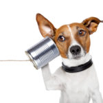 Listening Your Way to Great Leadership Listening Your Way to Great Leadership